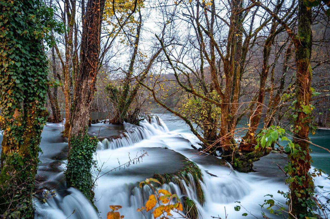 הוילה Ecotourism מרז'ניצה מראה חיצוני תמונה