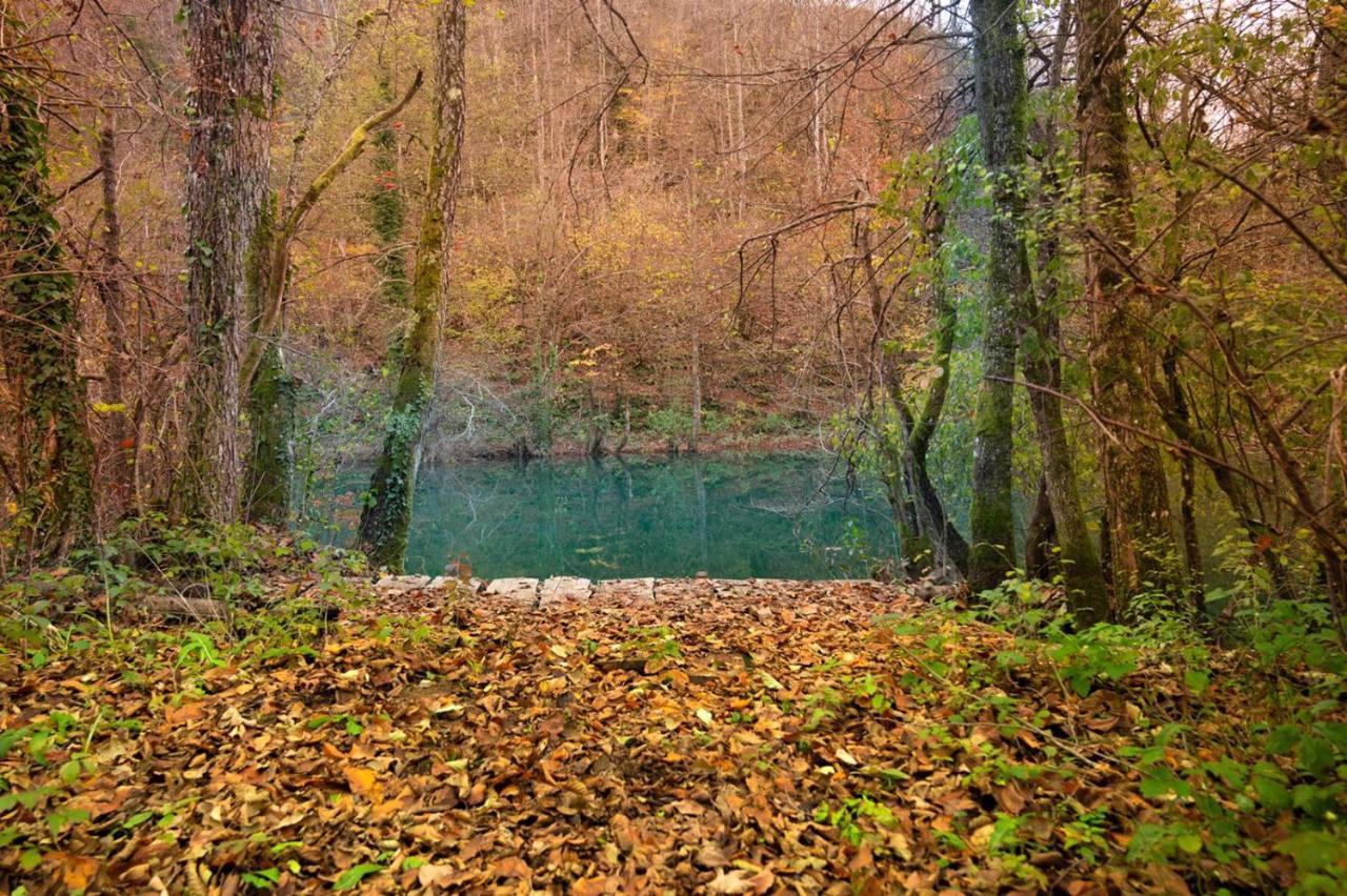 הוילה Ecotourism מרז'ניצה מראה חיצוני תמונה