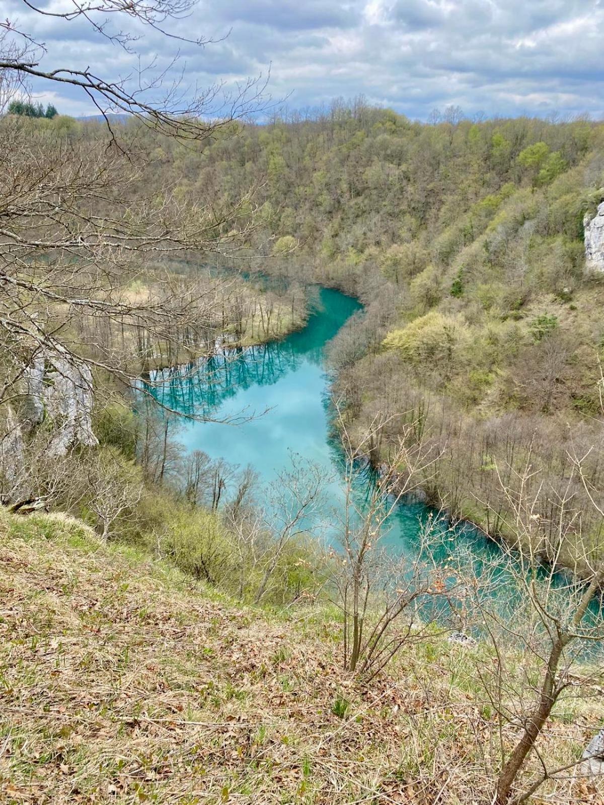 הוילה Ecotourism מרז'ניצה מראה חיצוני תמונה