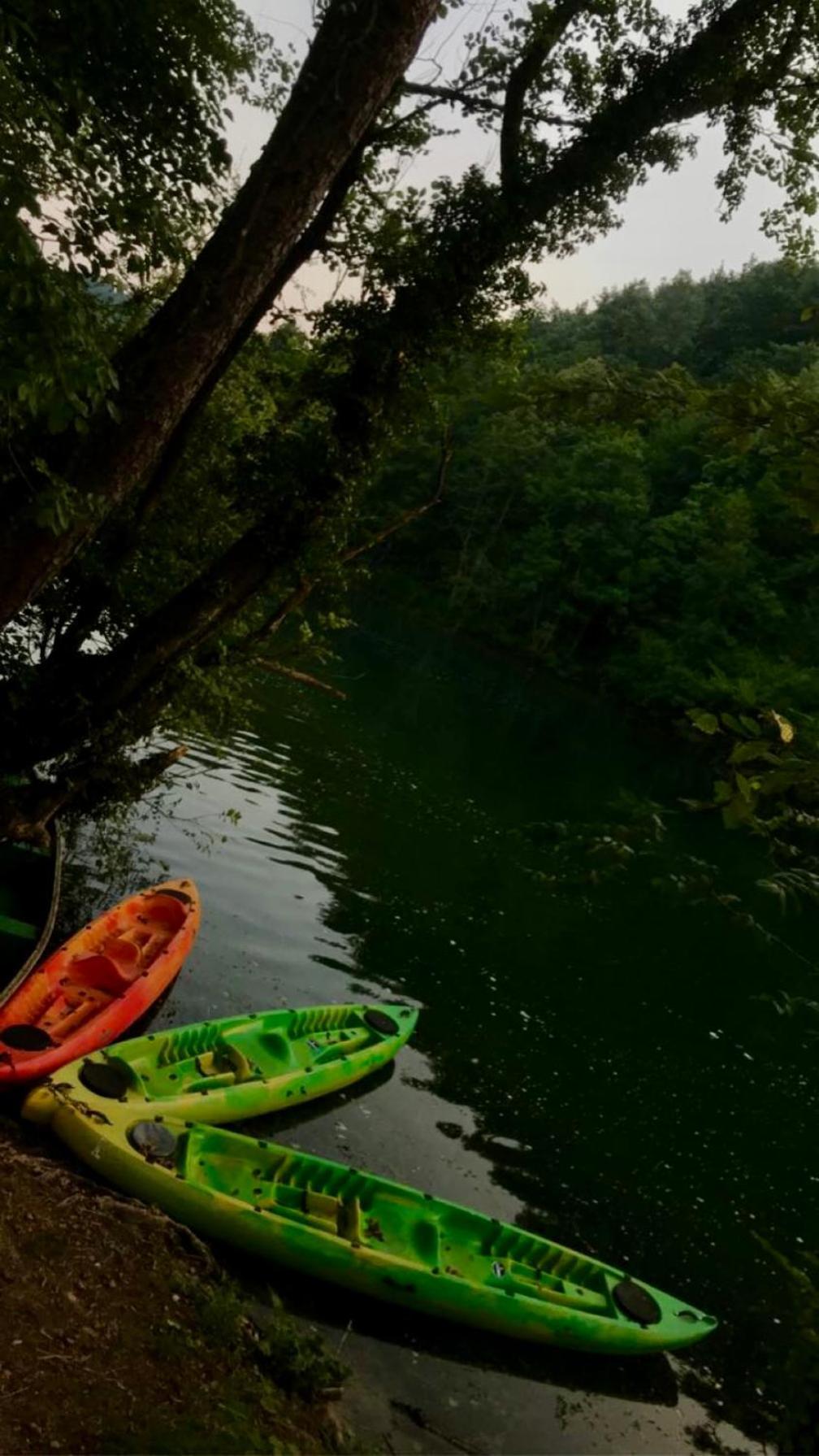 הוילה Ecotourism מרז'ניצה מראה חיצוני תמונה